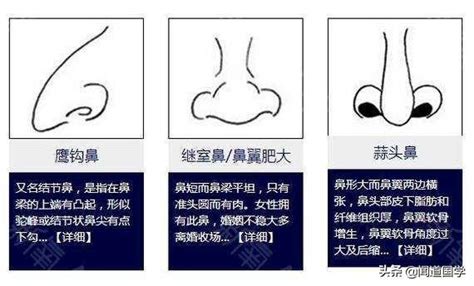 鼻毛長面相|面相學詳細分析鼻部